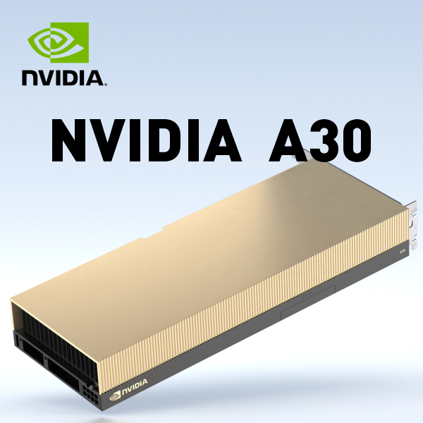 NVIDIA A30 (2)